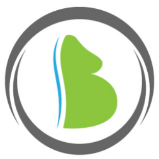 bumps and births logo